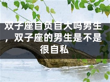 双子座自负自大吗男生,双子座的男生是不是很自私