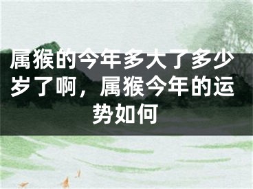 属猴的今年多大了多少岁了啊，属猴今年的运势如何