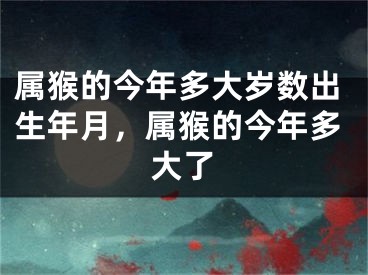属猴的今年多大岁数出生年月，属猴的今年多大了