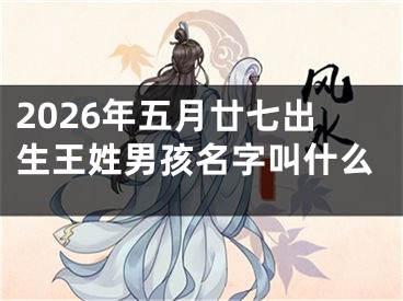 2026年五月廿七出生王姓男孩名字叫什么