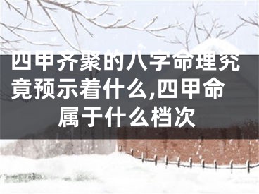 四甲齐聚的八字命理究竟预示着什么,四甲命属于什么档次