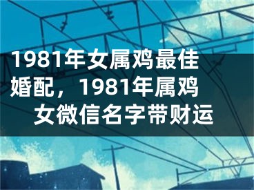 1981年女属鸡最佳婚配，1981年属鸡女微信名字带财运