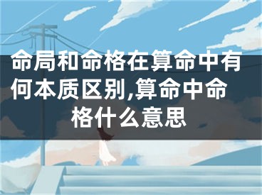 命局和命格在算命中有何本质区别,算命中命格什么意思