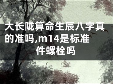 大长陇算命生辰八字真的准吗,m14是标准件螺栓吗