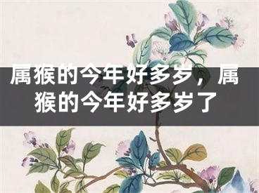 属猴的今年好多岁，属猴的今年好多岁了