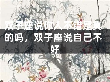 双子座说你人不错是真的吗，双子座说自己不好