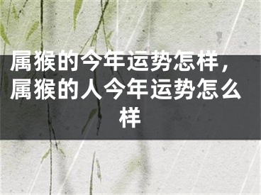 属猴的今年运势怎样，属猴的人今年运势怎么样