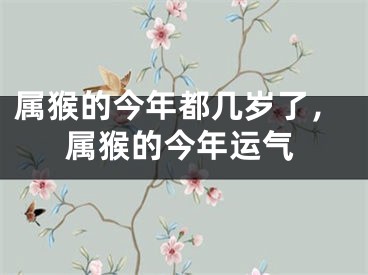 属猴的今年都几岁了，属猴的今年运气