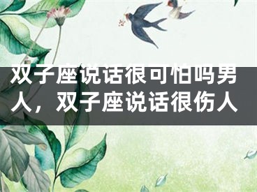 双子座说话很可怕吗男人，双子座说话很伤人