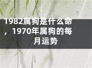 1982属狗是什么命，1970年属狗的每月运势