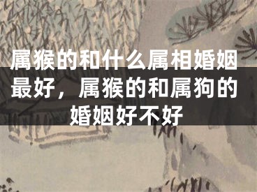 属猴的和什么属相婚姻最好，属猴的和属狗的婚姻好不好