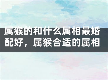 属猴的和什么属相最婚配好，属猴合适的属相
