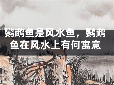 鹦鹉鱼是风水鱼，鹦鹉鱼在风水上有何寓意