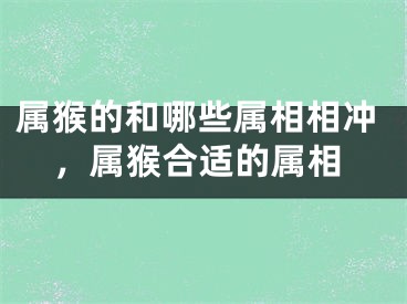 属猴的和哪些属相相冲，属猴合适的属相
