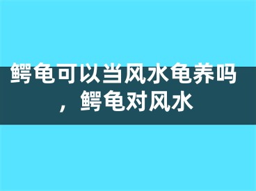 鳄龟可以当风水龟养吗，鳄龟对风水
