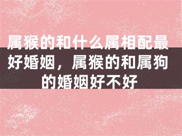属猴的和什么属相配最好婚姻，属猴的和属狗的婚姻好不好