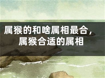 属猴的和啥属相最合,属猴合适的属相