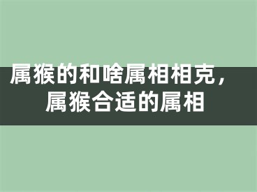属猴的和啥属相相克，属猴合适的属相