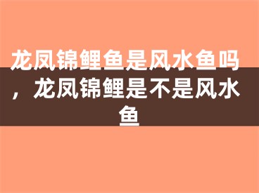 龙凤锦鲤鱼是风水鱼吗，龙凤锦鲤是不是风水鱼