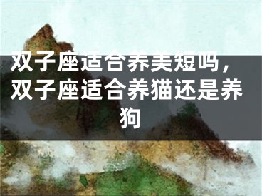 双子座适合养美短吗，双子座适合养猫还是养狗