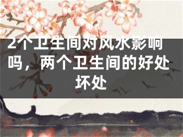 2个卫生间对风水影响吗,两个卫生间的好处坏处