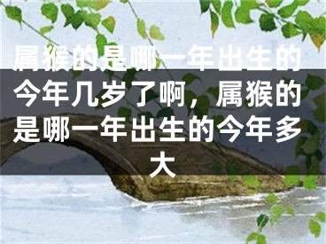 属猴的是哪一年出生的今年几岁了啊，属猴的是哪一年出生的今年多大