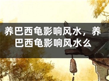 养巴西龟影响风水,养巴西龟影响风水么