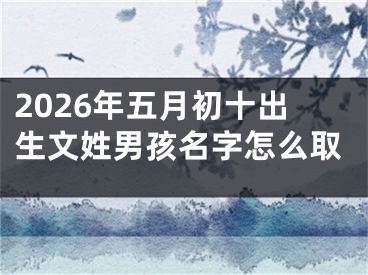 2026年五月初十出生文姓男孩名字怎么取