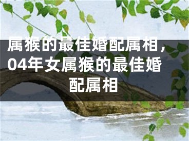 属猴的最佳婚配属相，04年女属猴的最佳婚配属相