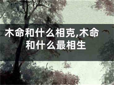 木命和什么相克,木命和什么最相生