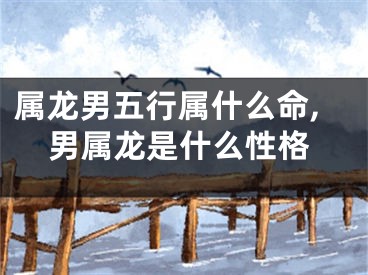 属龙男五行属什么命,男属龙是什么性格