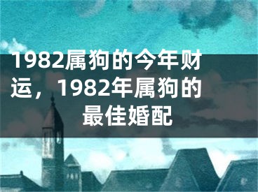 1982属狗的今年财运，1982年属狗的最佳婚配