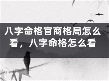 八字命格官商格局怎么看，八字命格怎么看