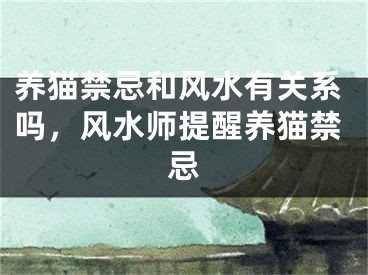 养猫禁忌和风水有关系吗，风水师提醒养猫禁忌