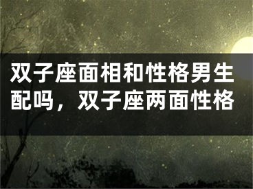 双子座面相和性格男生配吗，双子座两面性格