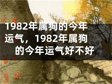 1982年属狗的今年运气，1982年属狗的今年运气好不好
