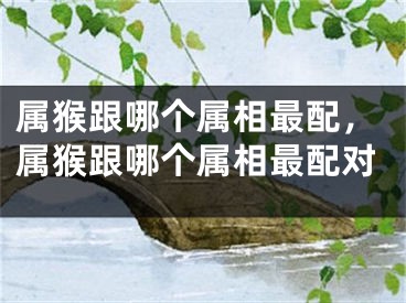 属猴跟哪个属相最配，属猴跟哪个属相最配对