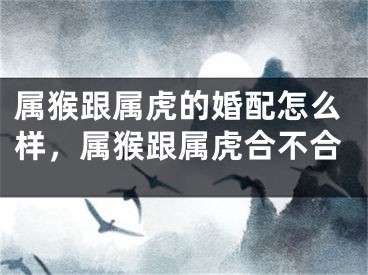 属猴跟属虎的婚配怎么样，属猴跟属虎合不合