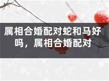属相合婚配对蛇和马好吗，属相合婚配对