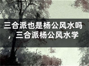三合派也是杨公风水吗，三合派杨公风水学