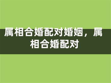 属相合婚配对婚姻，属相合婚配对