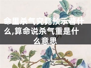 命里杀气究竟预示着什么,算命说杀气重是什么意思