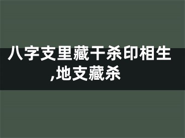 八字支里藏干杀印相生,地支藏杀