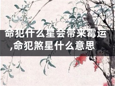 命犯什么星会带来霉运,命犯煞星什么意思