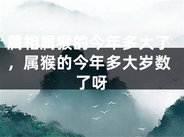 属相属猴的今年多大了，属猴的今年多大岁数了呀