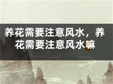 养花需要注意风水，养花需要注意风水嘛
