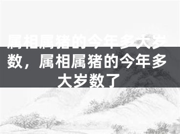 属相属猪的今年多大岁数，属相属猪的今年多大岁数了