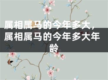 属相属马的今年多大，属相属马的今年多大年龄