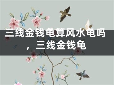 三线金钱龟算风水龟吗，三线金钱龟
