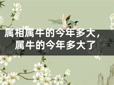 属相属牛的今年多大，属牛的今年多大了